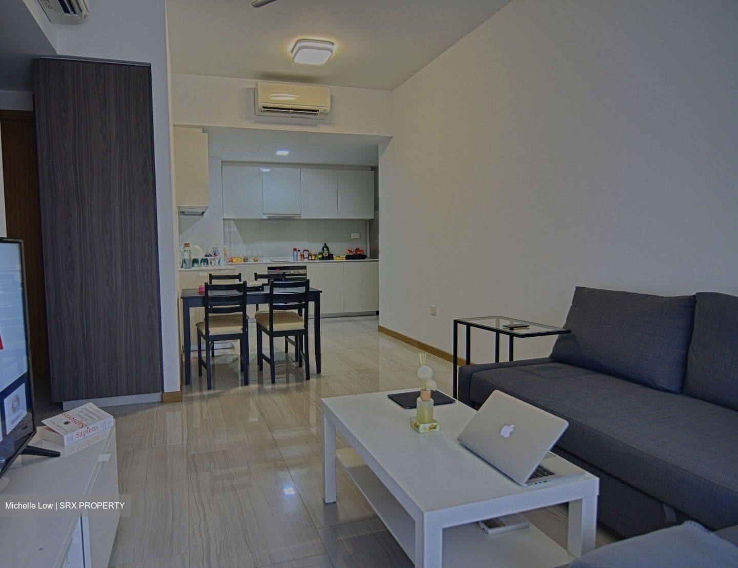 Lakeville (D22), Condominium #533624761
